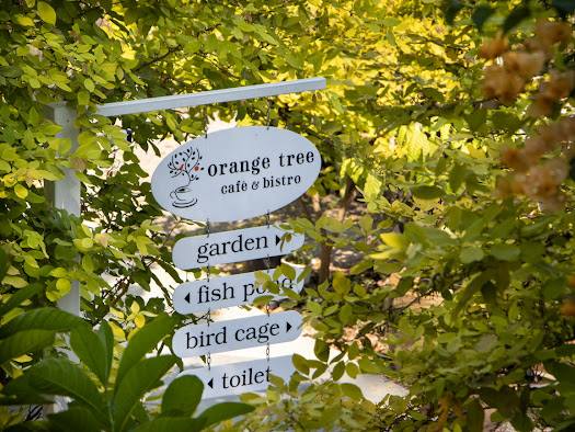 Orange Tree Cafe House