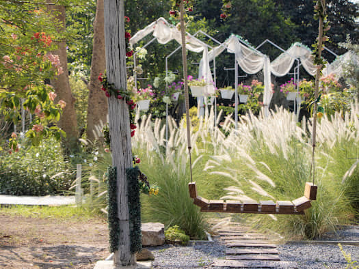 Orange Tree Cafe House