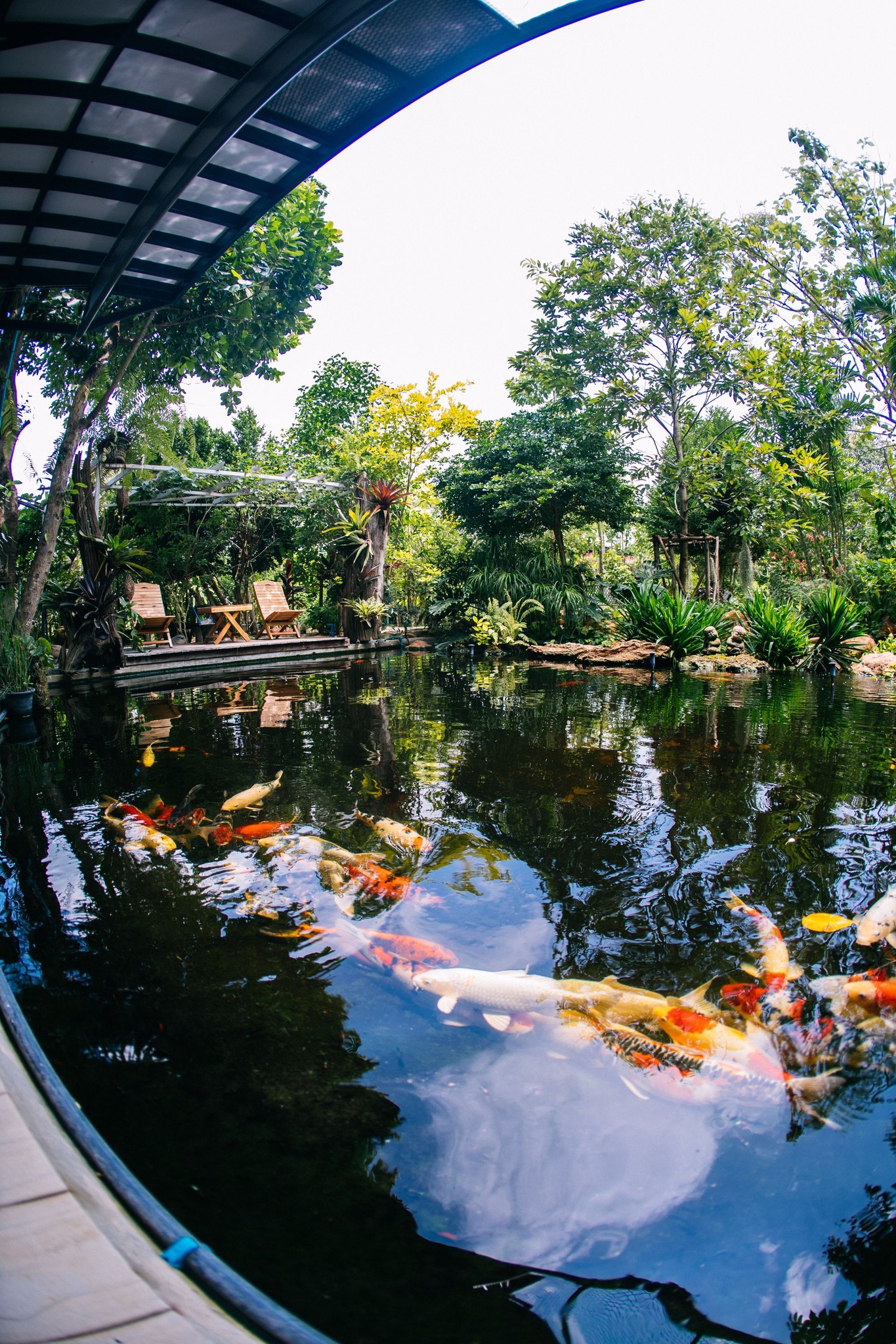 Orange Tree Cafe House