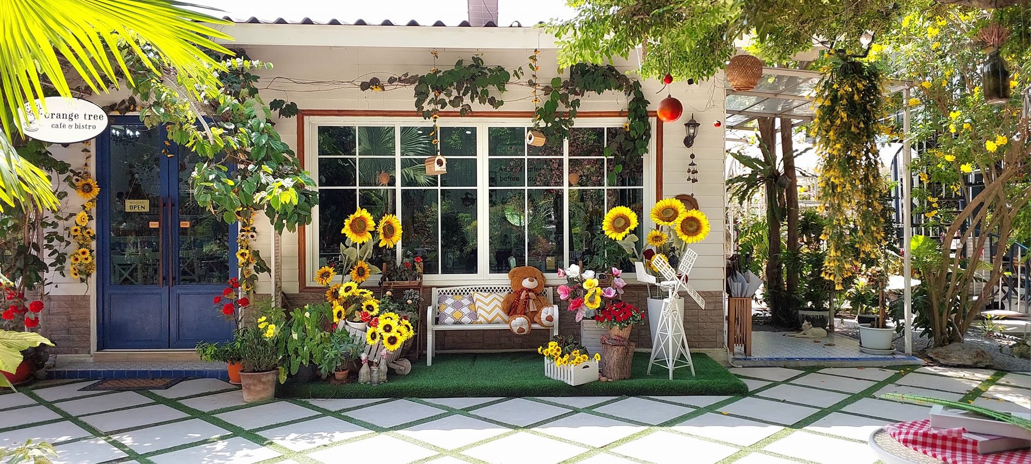 Orange Tree Cafe House